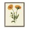 Stupell Industries Twin Marigold Blooms Floating Frame, design by Connie Resch